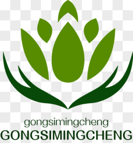 BG视讯·(中国区)官方网站